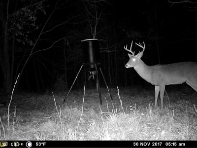 Hunting Land For Sale In Tn With Hardwood Timber - image 7