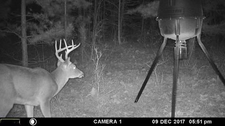 Hunting Land For Sale In Tn With Hardwood Timber - image 8