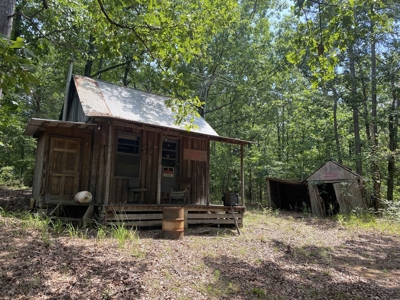 Hunting Land For Sale In Tn With Hardwood Timber - image 10