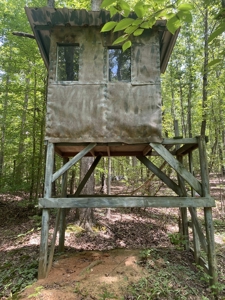 Hunting Land For Sale In Tn With Hardwood Timber - image 41