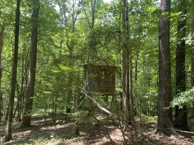 Hunting Land For Sale In Tn With Hardwood Timber - image 38
