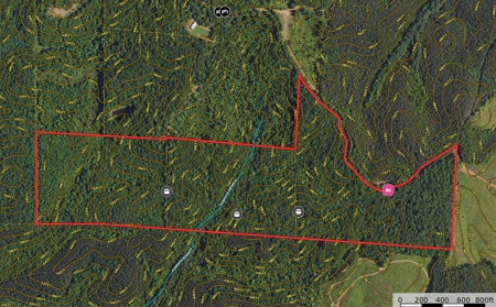 Hunting Land For Sale In Tn With Hardwood Timber - image 2