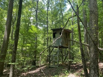 Hunting Land For Sale In Tn With Hardwood Timber - image 39