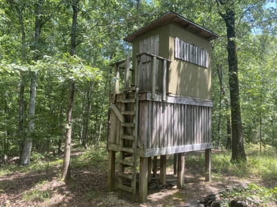 Hunting Land For Sale In Tn With Hardwood Timber - image 14