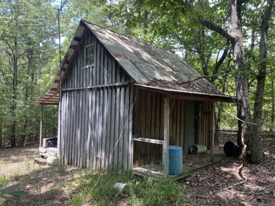Hunting Land For Sale In Tn With Hardwood Timber - image 18