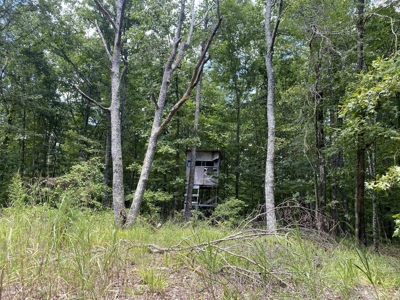 Hunting Land For Sale In Tn With Hardwood Timber - image 32