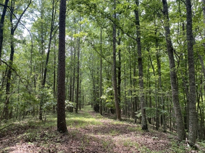 Hunting Land For Sale In Tn With Hardwood Timber - image 28