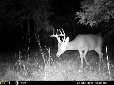 Hunting Land For Sale In Tn With Hardwood Timber - image 11