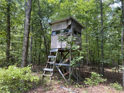 Hunting Land For Sale In Tn With Hardwood Timber - image 5