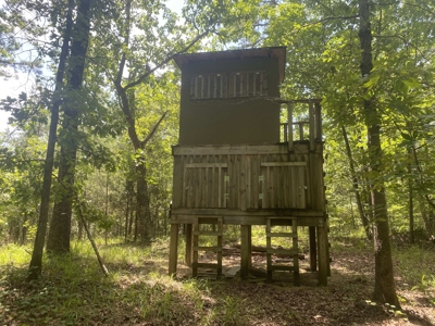 Hunting Land For Sale In Tn With Hardwood Timber - image 43