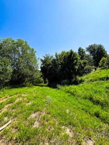 Hard To Find Highway Frontage In Van Buren Mo - image 3