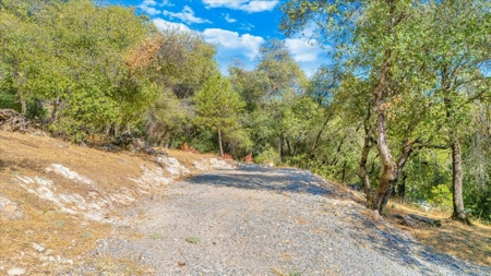 Country Living 5 minutes from Downtown Murphys!! - image 17