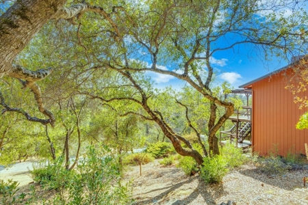 Country Living 5 minutes from Downtown Murphys!! - image 10