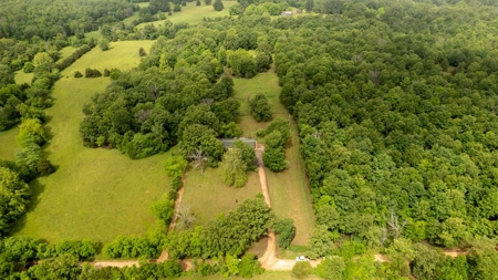 Country Home with Acreage in the Northern Arkansas Ozarks - image 46