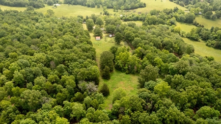 Country Home with Acreage in the Northern Arkansas Ozarks - image 47