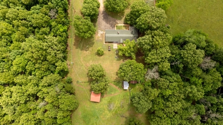 Country Home with Acreage in the Northern Arkansas Ozarks - image 49