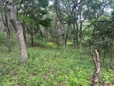 Recreational Estate on 40 Acres Near Oxford - image 40
