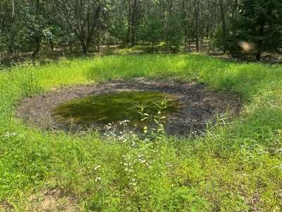 Recreational Estate on 40 Acres Near Oxford - image 44