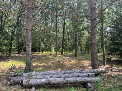 Recreational Estate on 40 Acres Near Oxford - image 50