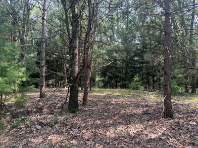 Recreational Estate on 40 Acres Near Oxford - image 45
