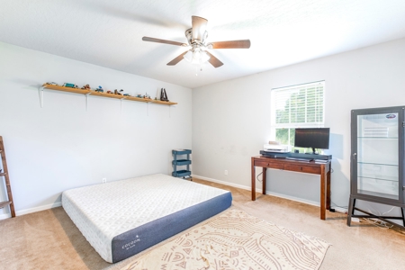 3 Br/2 Bath On 4 Acres With 30 X 50 Enclosed Metal Building - image 33