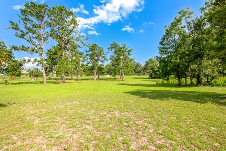 3 Br/2 Bath On 4 Acres With 30 X 50 Enclosed Metal Building - image 4
