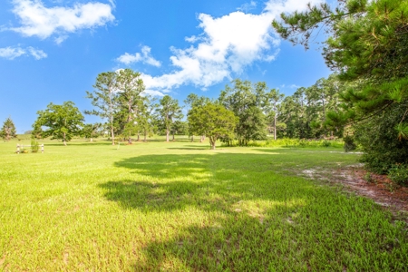 3 Br/2 Bath On 4 Acres With 30 X 50 Enclosed Metal Building - image 5