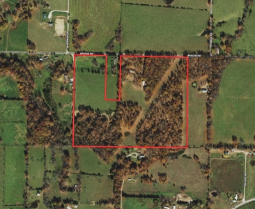 Country Home and Acreage/Farm in the Missouri Ozarks - image 2