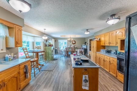 Country Home and Acreage/Farm in the Missouri Ozarks - image 12