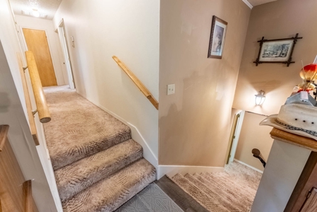 Country Home and Acreage/Farm in the Missouri Ozarks - image 25