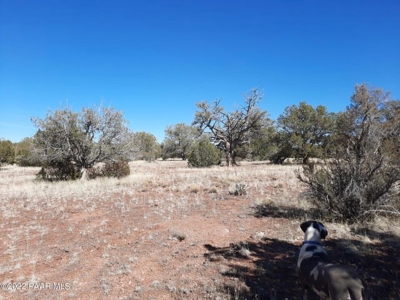 Northern AZ off Grid property - image 6
