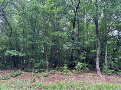 Investor's Dream: Spacious Lot Just Outside Chase City, VA - image 15
