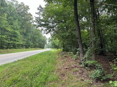 Investor's Dream: Spacious Lot Just Outside Chase City, VA - image 3