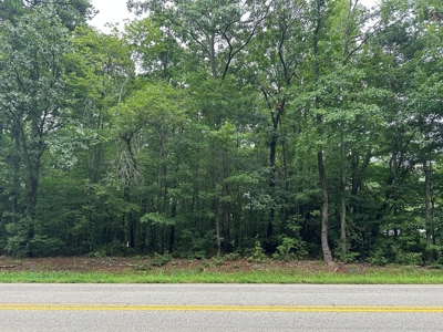 Investor's Dream: Spacious Lot Just Outside Chase City, VA - image 16