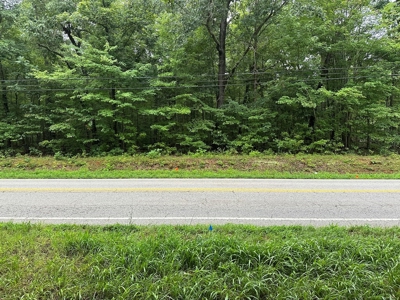 Investor's Dream: Spacious Lot Just Outside Chase City, VA - image 17