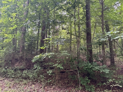 Investor's Dream: Spacious Lot Just Outside Chase City, VA - image 14
