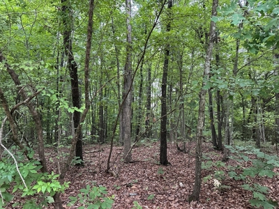 Investor's Dream: Spacious Lot Just Outside Chase City, VA - image 7