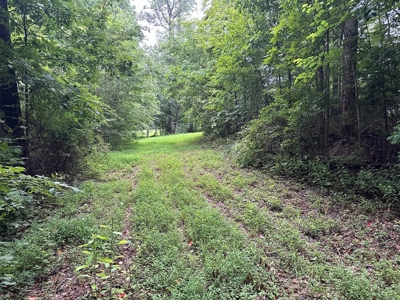 Investor's Dream: Spacious Lot Just Outside Chase City, VA - image 12