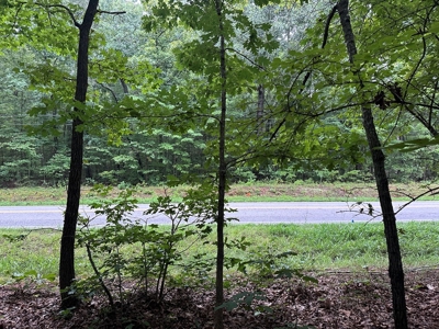 Investor's Dream: Spacious Lot Just Outside Chase City, VA - image 5