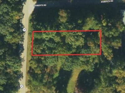 Investor's Dream: Spacious Lot Just Outside Chase City, VA - image 2