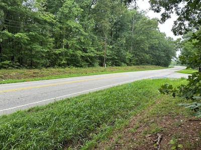 Investor's Dream: Spacious Lot Just Outside Chase City, VA - image 19