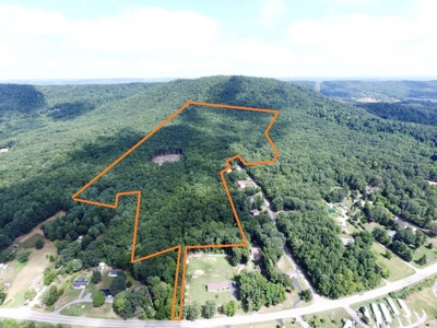 Hunting Land For Sale In Wythe County VA - image 2