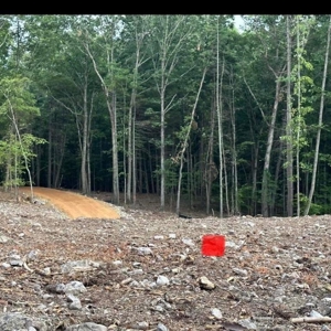 Hunting Land For Sale In Wythe County VA - image 25
