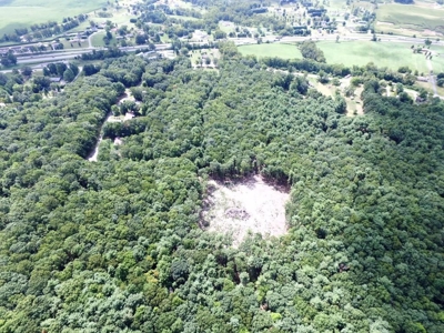 Hunting Land For Sale In Wythe County VA - image 8