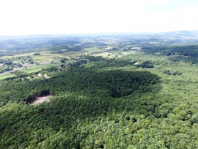 Hunting Land For Sale In Wythe County VA - image 7
