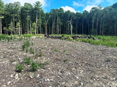 Hunting Land For Sale In Wythe County VA - image 17