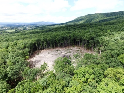 Hunting Land For Sale In Wythe County VA - image 11