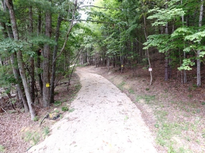 Hunting Land For Sale In Wythe County VA - image 13