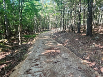 Hunting Land For Sale In Wythe County VA - image 15