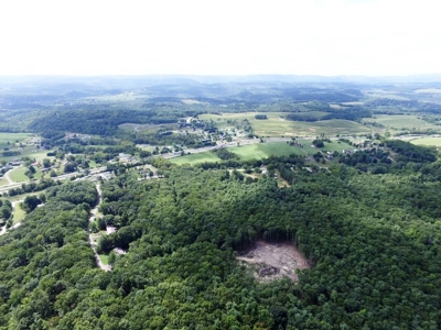 Hunting Land For Sale In Wythe County VA - image 5